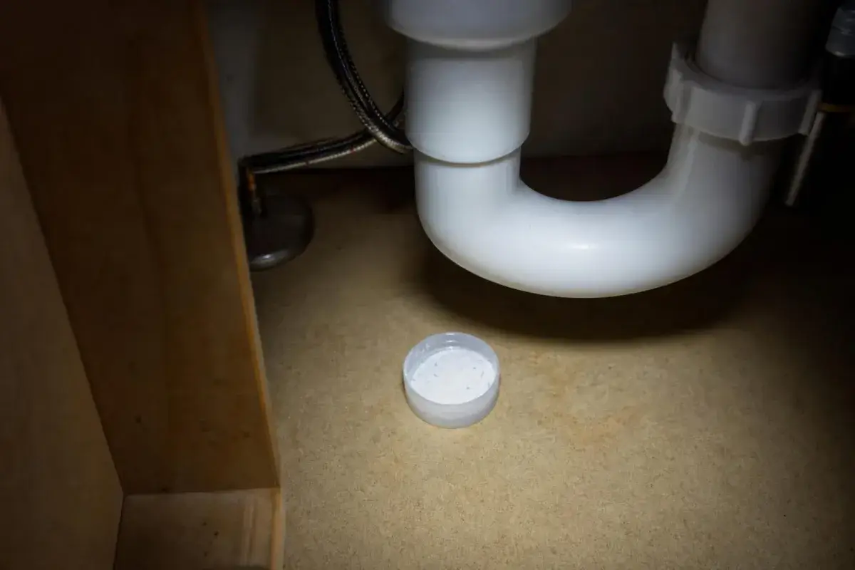 Bottle cap of baking soda and sugar bait placed under a kitchen sink near the plumbing