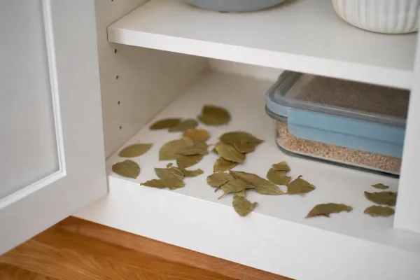 Bay Leaves for Roaches: Do They Actually Work?
