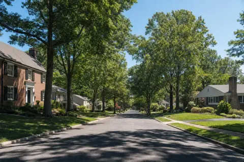 Tree-lined residential street of brick colonial homes in Bethesda, Maryland