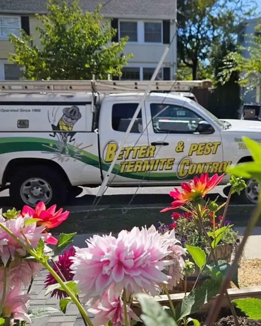 Better Termite and Pest Control truck parked in residential neighborhood