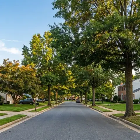 Residential neighborhood street in Bowie Maryland with mature trees and suburban homes