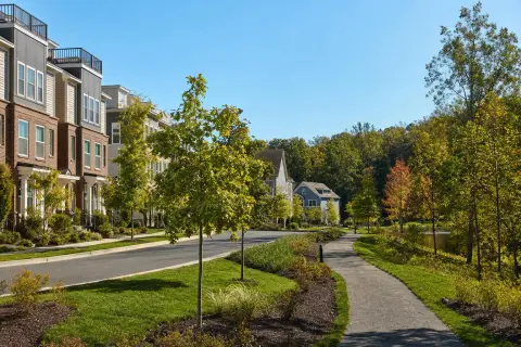 Townhome street in Brambleton Virginia with young trees, mulch beds, and a paved trail leading to a wooded pond edge