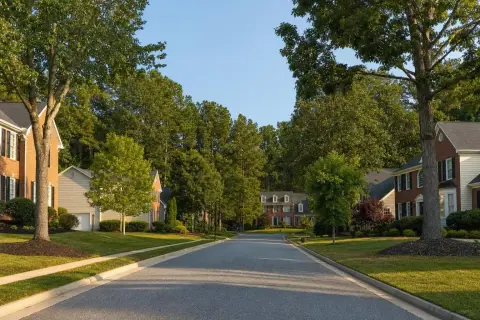 Residential street in Brandywine, Maryland with brick-front colonial homes, mulch beds along the foundations, and a pine and hardwood tree line behind