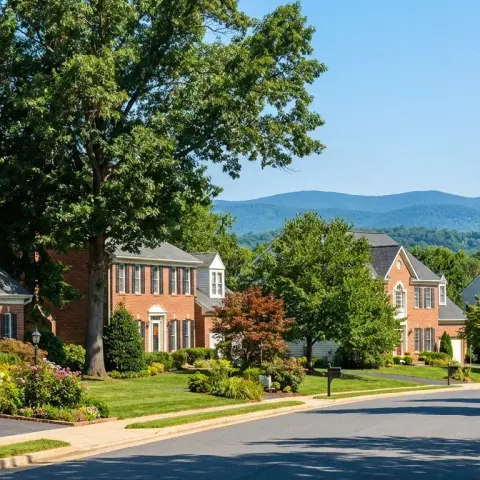 Suburban neighborhood in Bristow Virginia with brick colonial homes and mature trees in Prince William County