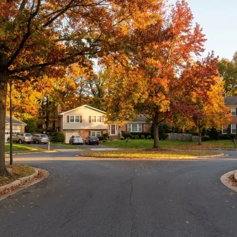 Tree-lined residential street in Burke Virginia with colonial and split-level homes from the 1970s-80s and mature deciduous trees
