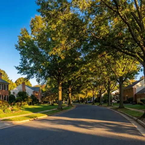 Tree-lined suburban street in Burke Virginia with brick colonial homes and mature oak trees