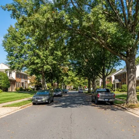 Tree-lined suburban neighborhood street in Chantilly Virginia with colonial homes and green lawns