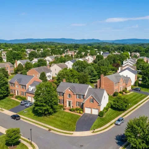 Suburban neighborhood street in Chantilly, Virginia with mature trees and colonial-style homes