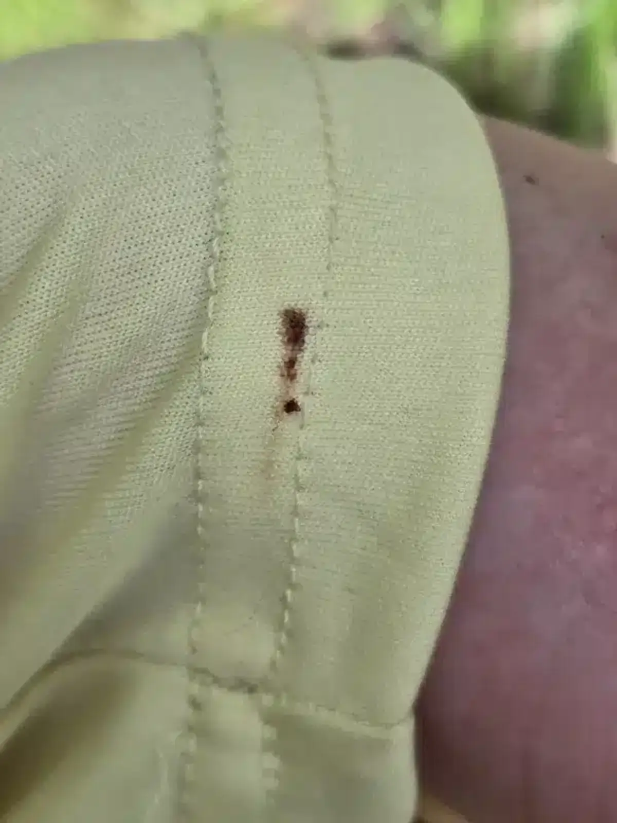 Red stain on fabric from crushed clover mite