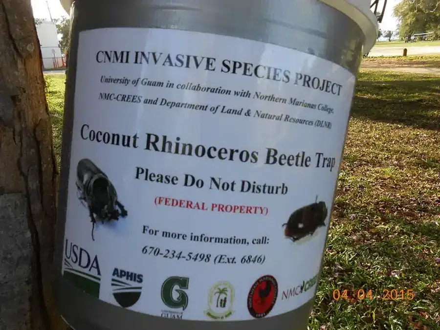 Coconut rhinoceros beetle trap sign