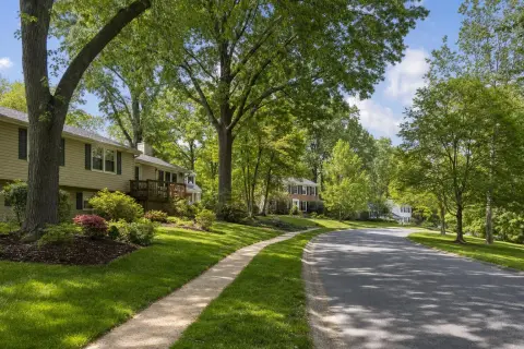 Curving residential street in Crofton, Maryland with split-level and colonial homes under tall mature oak and tulip poplar trees