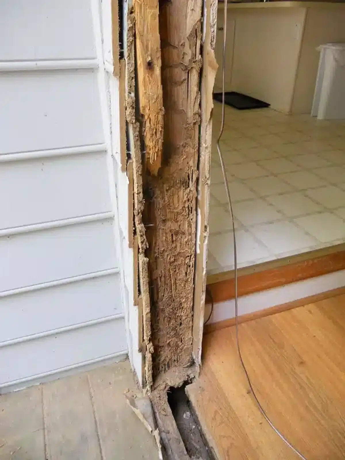 Exterior door frame with the trim removed, showing the jamb eaten away by termites down to the threshold