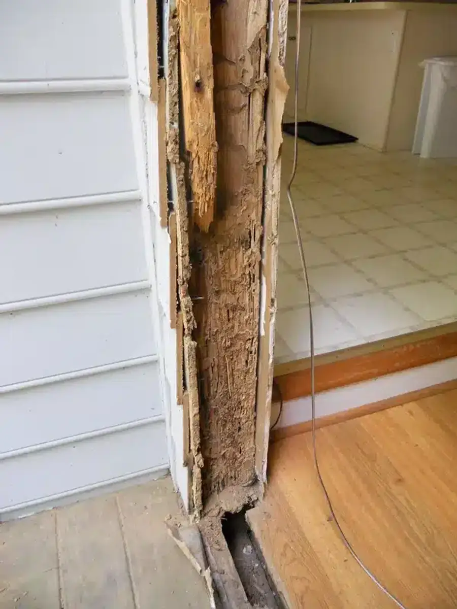 Wood damage from termite infestation