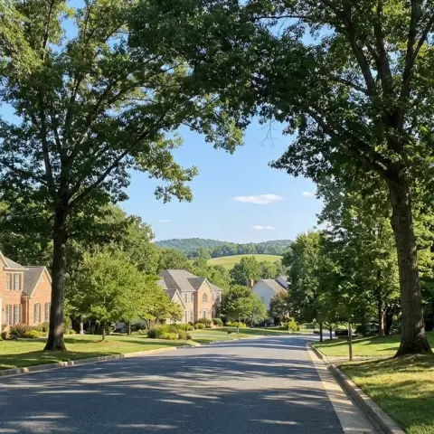 Tree-lined residential street in Darnestown Maryland with large colonial homes on spacious lots