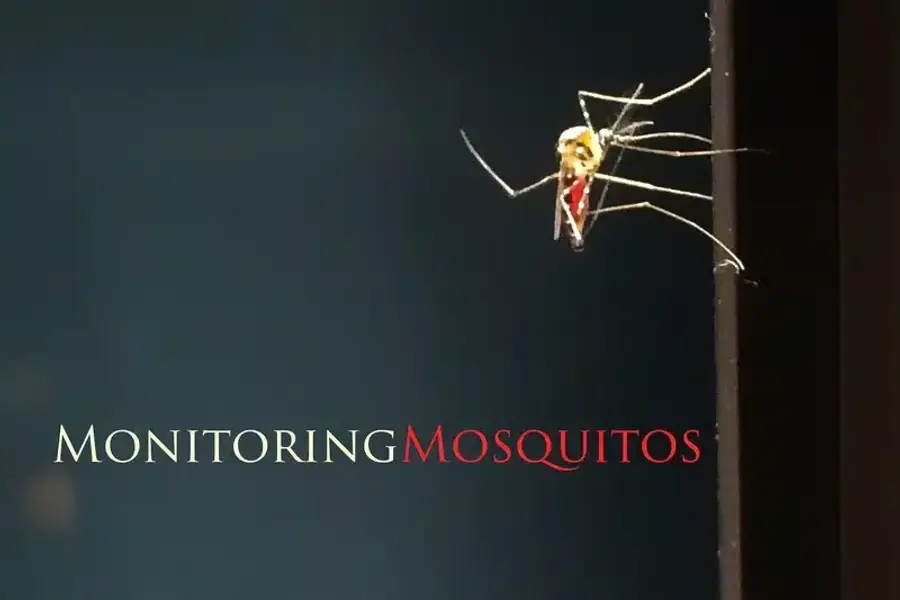 Mosquito habitat illustration