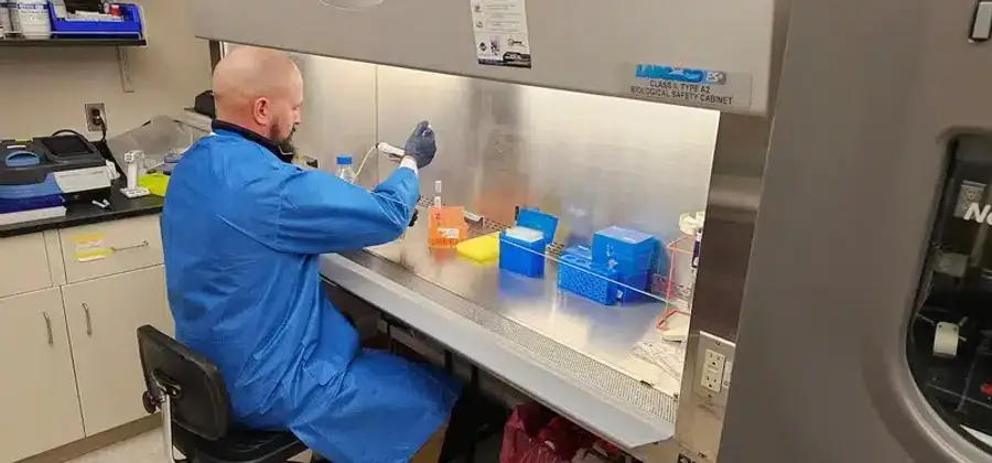 Generic pest scene placeholder