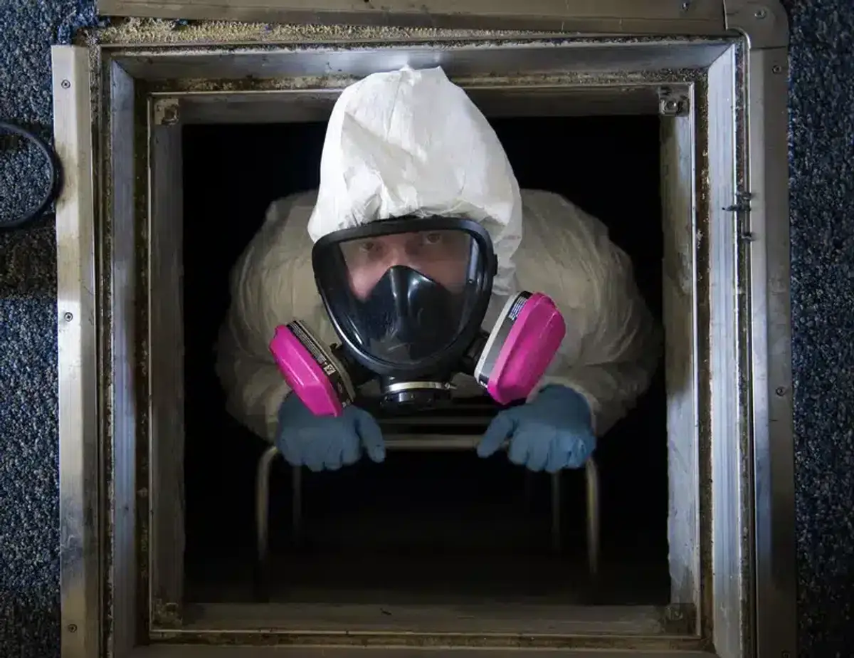 Pest control scene illustrating rodent monitoring