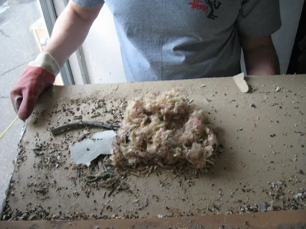 What Happens If You Disturb a Mouse Nest? Risks and How to Remove It