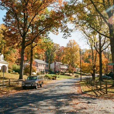 Wooded suburban neighborhood in Fairfax Station Virginia with large colonial homes and mature hardwood trees