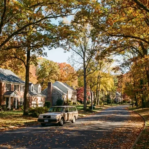 Wooded suburban neighborhood with large colonial homes in Fairfax Station Virginia