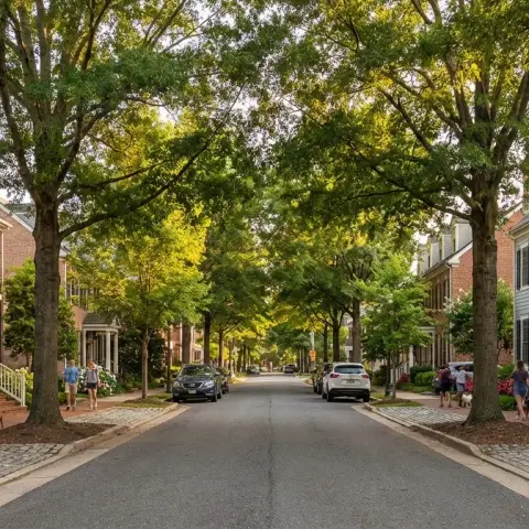 Tree-lined residential street in the Kentlands neighborhood of Gaithersburg, Maryland
