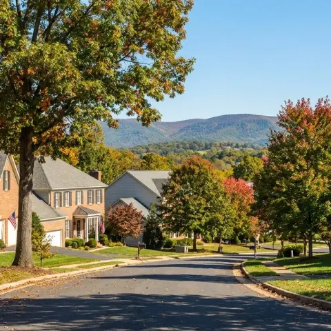 Suburban neighborhood street in Haymarket Virginia with brick-front homes and mature trees near the Bull Run Mountains