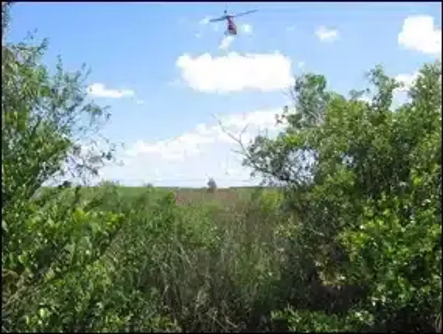Helicopter spraying pesticides over marshland