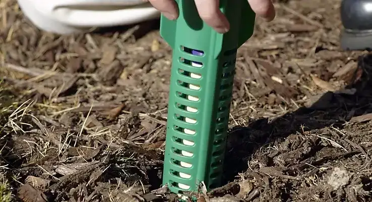 Green Sentricon termite bait station being set into a mulch bed