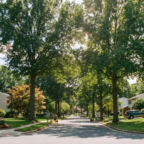 Suburban residential street in Jessup Maryland with mature trees, well-kept lawns, and colonial-style homes on a clear day
