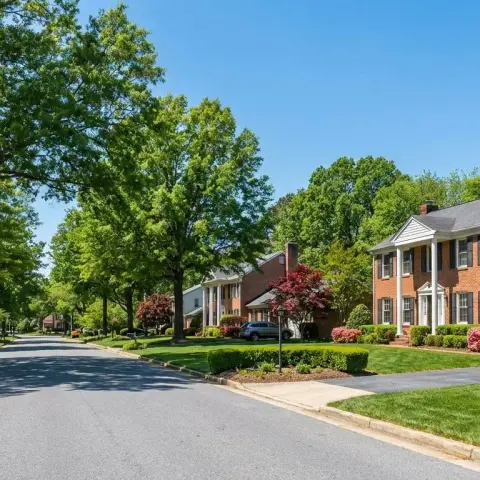 Charming suburban neighborhood in La Plata, Maryland with mature trees and colonial-style homes