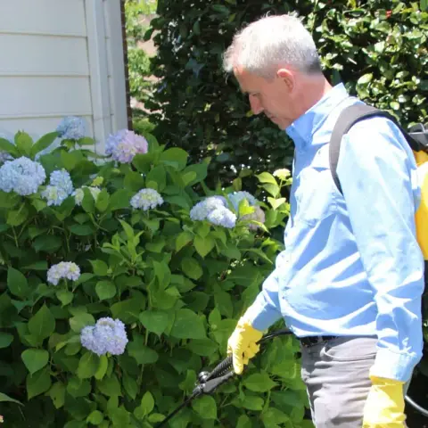 Pest control technician spraying perimeter of home with flowers