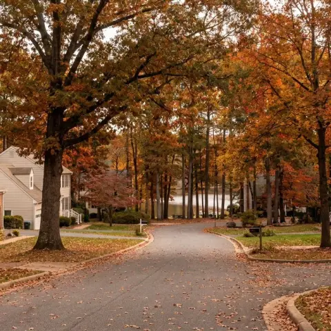 Suburban neighborhood in Locust Grove Virginia with mature hardwood trees and colonial homes in Orange County near Lake of the Woods
