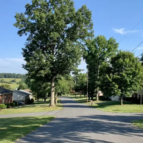 Suburban neighborhood street in Locust Grove Virginia with mature trees and single family homes