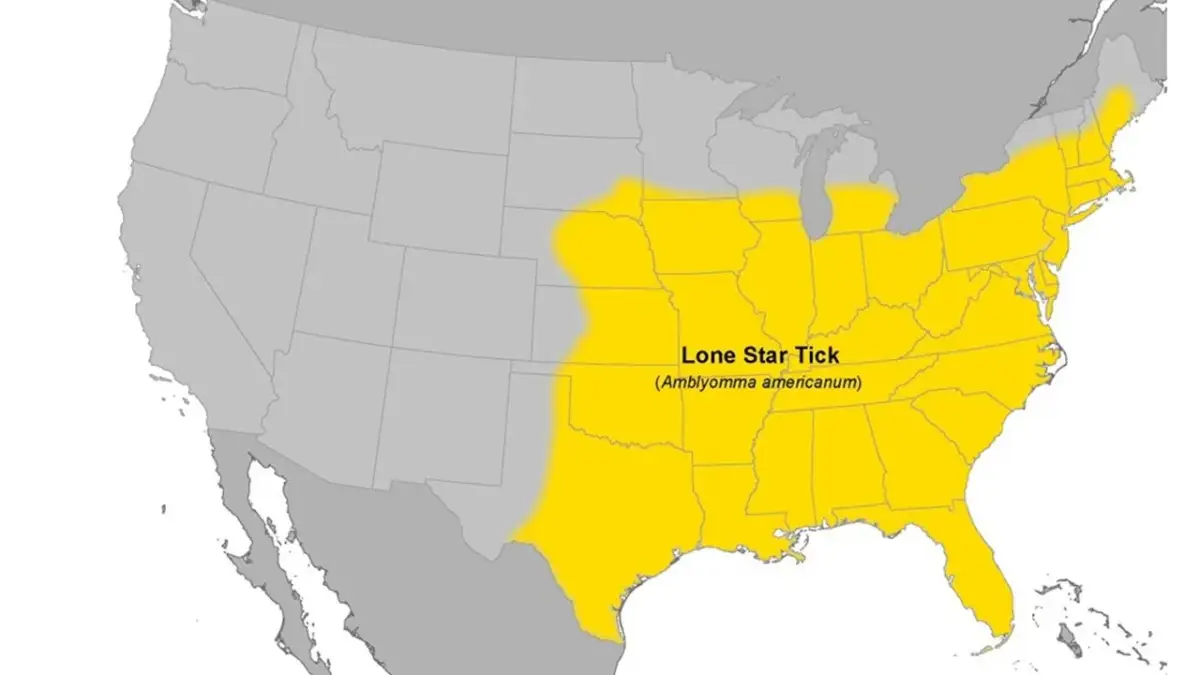 CDC map of the United States with the estimated lone star tick range shaded yellow across the eastern half of the country