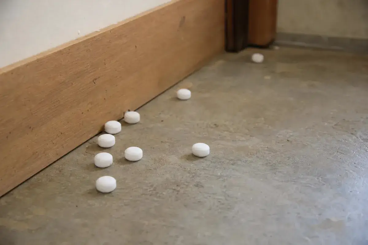 White mothballs scattered along a baseboard on a concrete basement floor