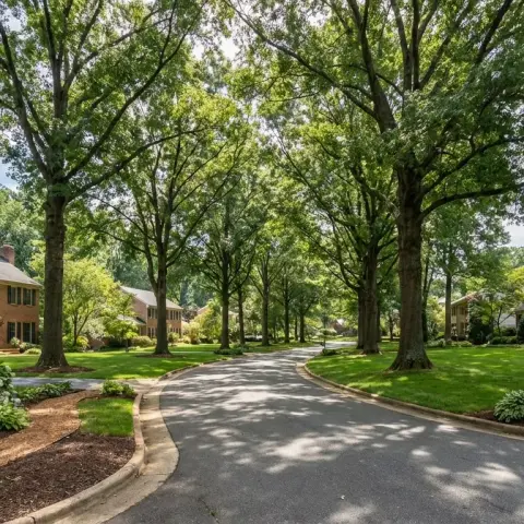 Tree-lined residential street in Oakton Virginia with colonial-style brick homes and manicured lawns