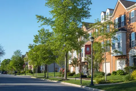 Modern suburban residential street in Odenton, Maryland with brick-front homes, mature trees, and manicured lawns