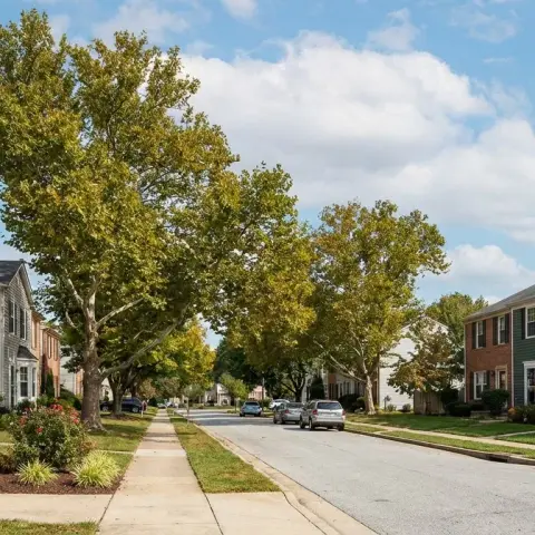 Tree-lined suburban street with townhomes in Odenton, Maryland