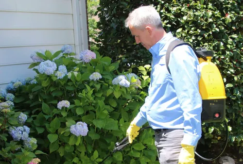 Perimeter treatment being applied at a Northern Virginia home near Herndon