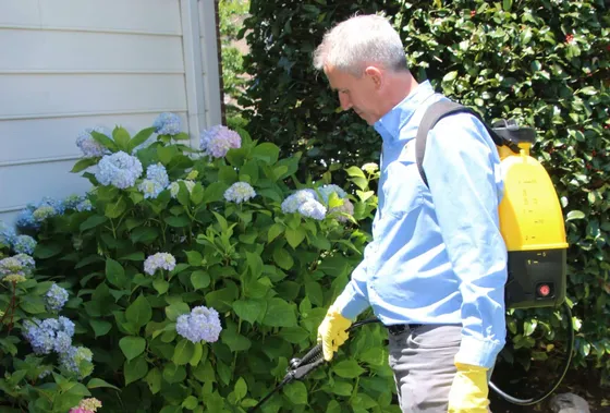Better Termite technician applying perimeter pest treatment around a Marshall Virginia home with flowering landscaping