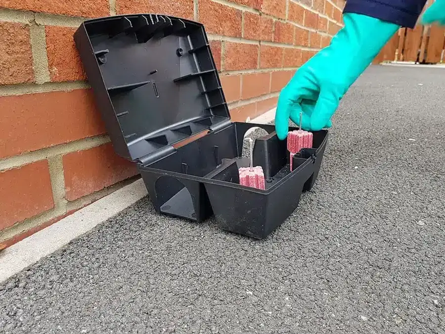 Tamper-resistant rodent bait station placed along a building foundation