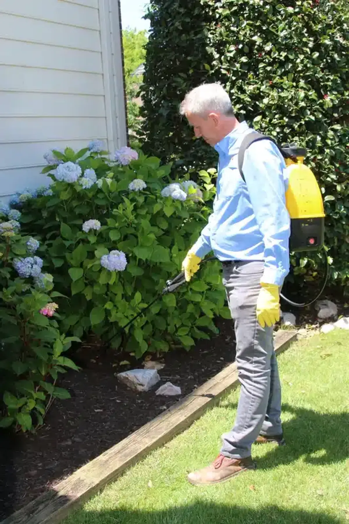 Technician applying pest control treatment around exterior of home