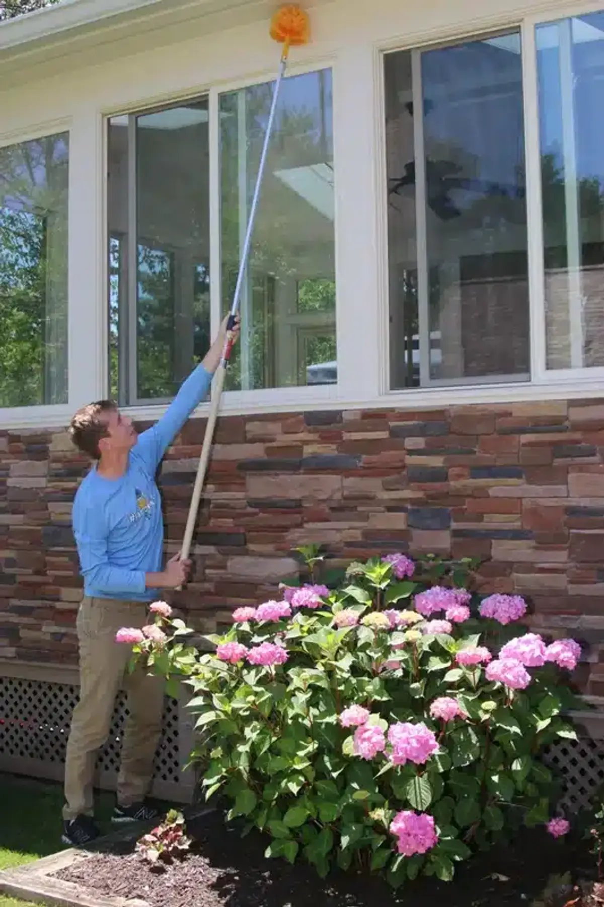 Professional pest control technician using long pole for bee management
