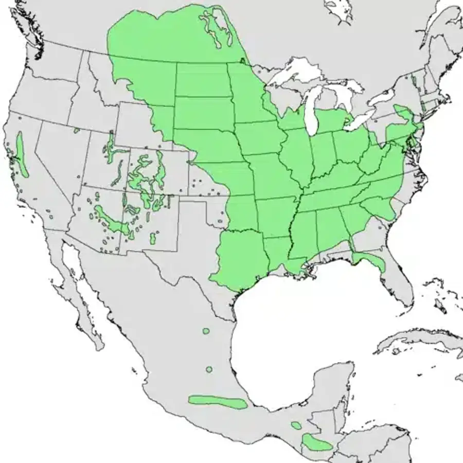 Pest distribution map of North America