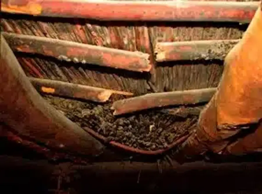 Nesting material in roof structure
