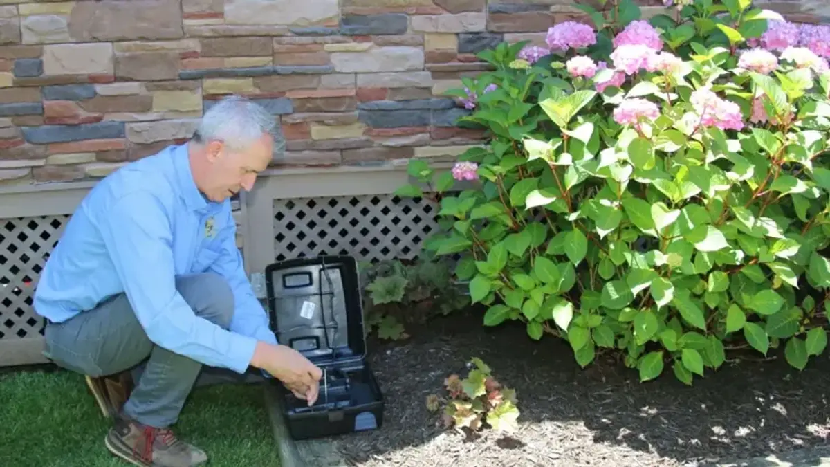 Technician checking an open rodent bait station beside a home's foundation