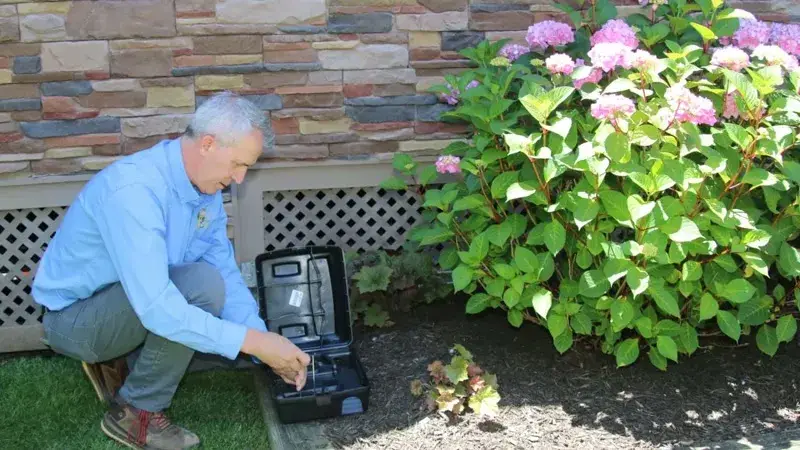 Technician placing rodent bait station along foundation