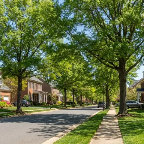 Charming suburban neighborhood street in Stafford County Virginia with colonial brick homes and mature trees