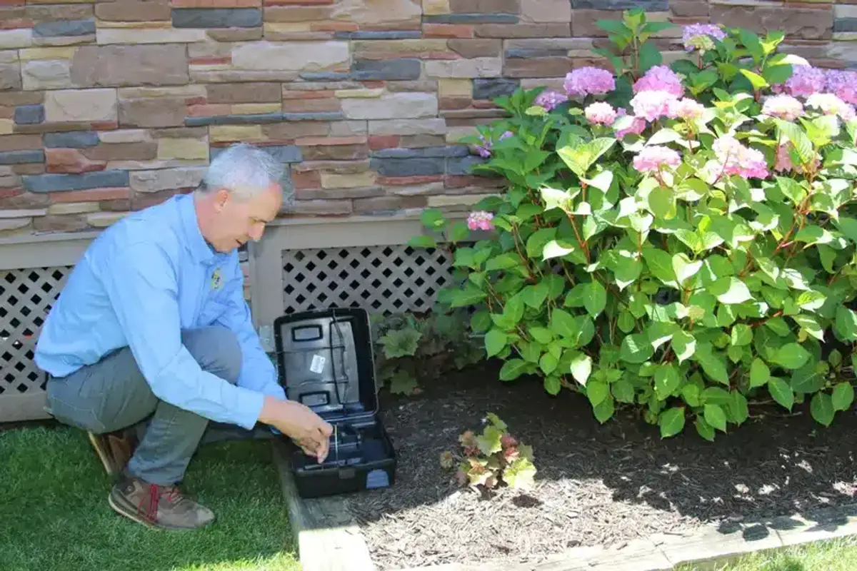 Professional technician checking an outdoor bait station near a home foundation