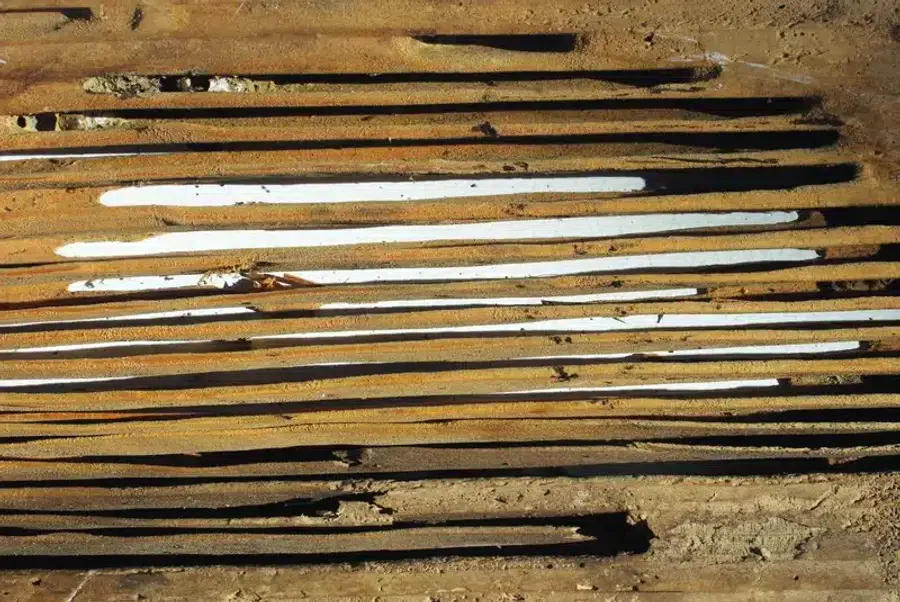 Damaged wooden beams with pest activity